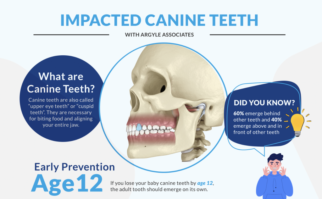 Impacted Canine Teeth Treatment Wisdom Teeth Removal